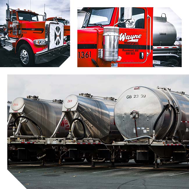 Wayne Transports trucking company bulk liquid food feed grade hauling trailers