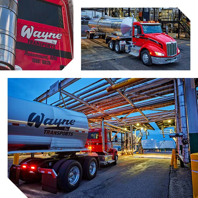 Asphalt freight hauling logistics semi trucks and trailers of the Wayne Transports trucking company pull up to the oil transfer station