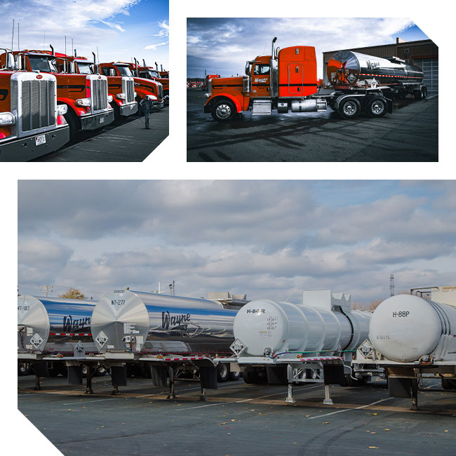 Chemical hauling freight logistics semi trucks and trailers of the Wayne Transports trucking company