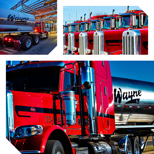 Wayne Transports freight trucking company serving the entire lower 48 states, Alaska and Canada with the best logistics and shipping services with top of the line semis now hiring company drivers